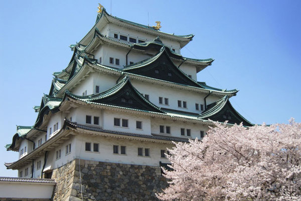 Japan Tour